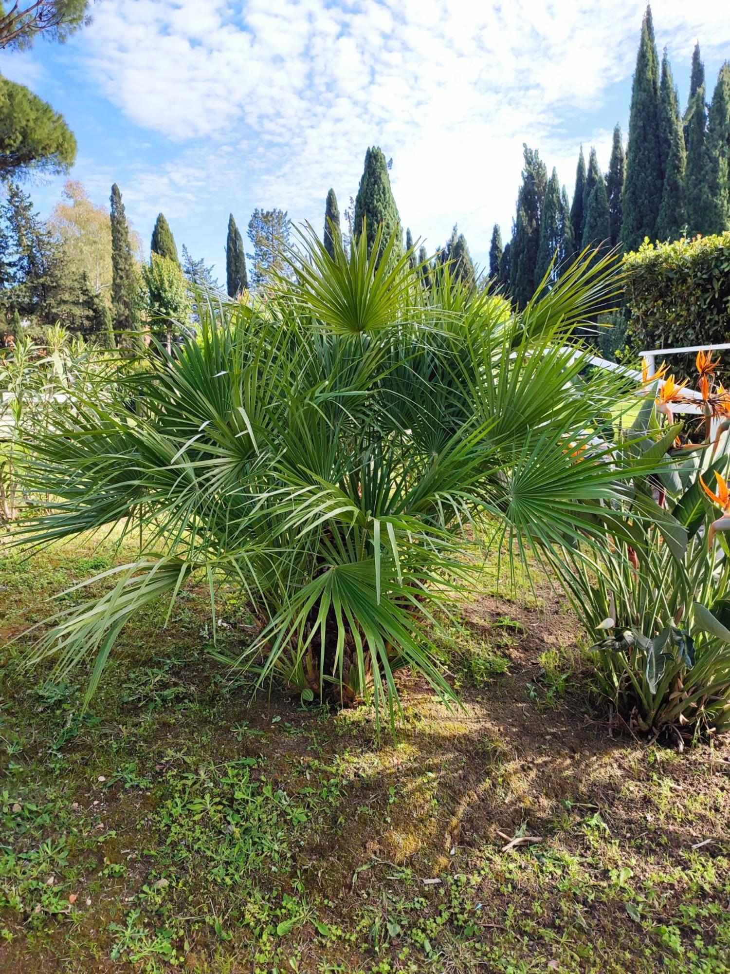 Green Nest Rome Extérieur photo